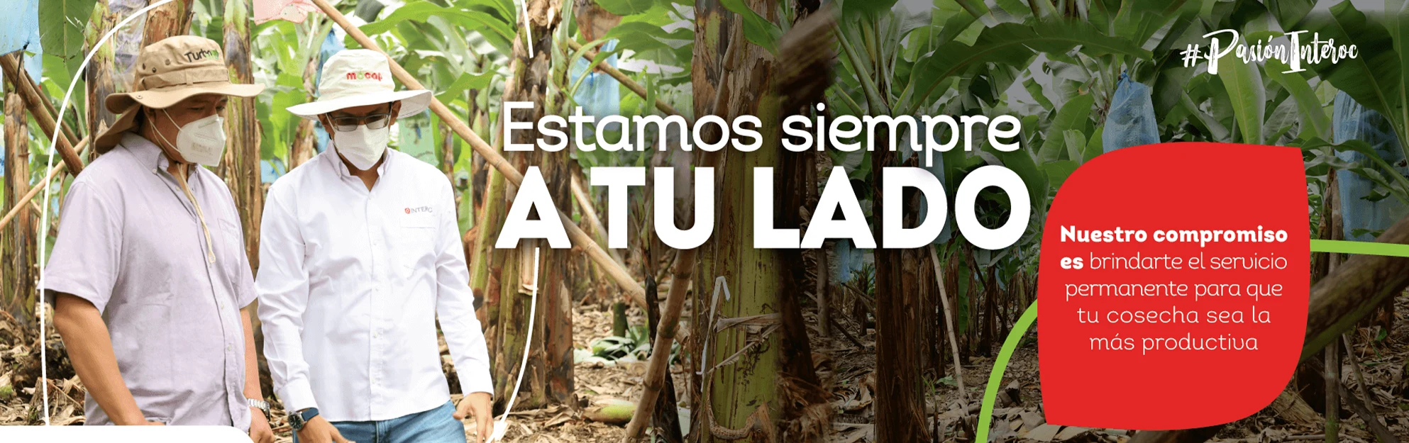 Banner2Site2_wide