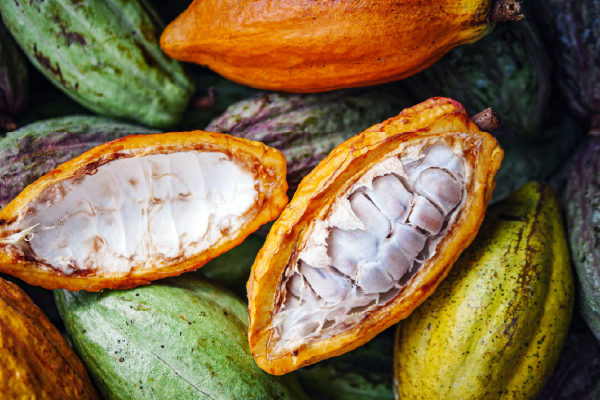 Cacao