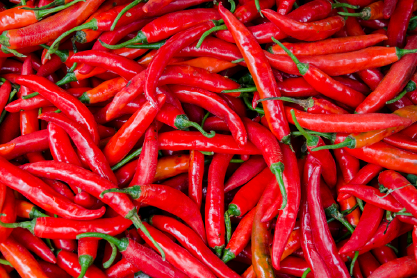 Paprika