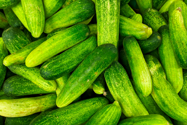 Pepino